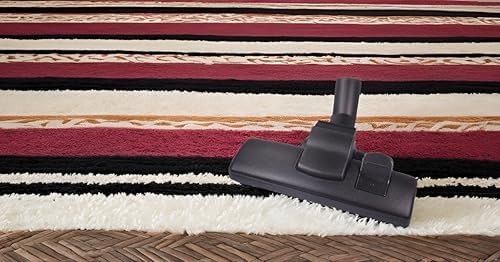 Carpet Brush, 32 mm Connecting Size, for Indoor, Suitable for Carpets, Wooden-, Stone- and Tile Flooring, Effortless Gliding on 4 Wheels
