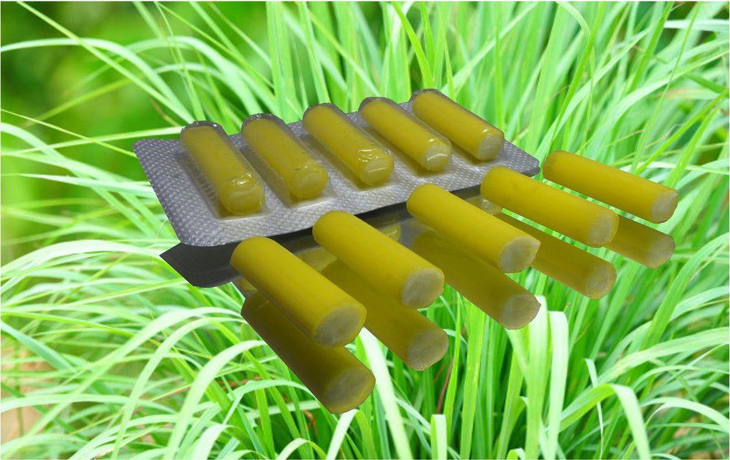 5 Vacuum Cleaner Deodorant - Pleasant Lemongrass Smell in All Rooms, Can be Used in All Vacuum Cleaners, Imported